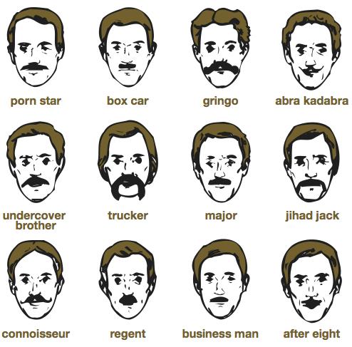 Moustache Guide movember