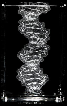 dna dna