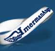 IA bracelet
